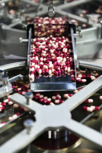 Medicine capsule pill in production line at pharmaceutical factory.